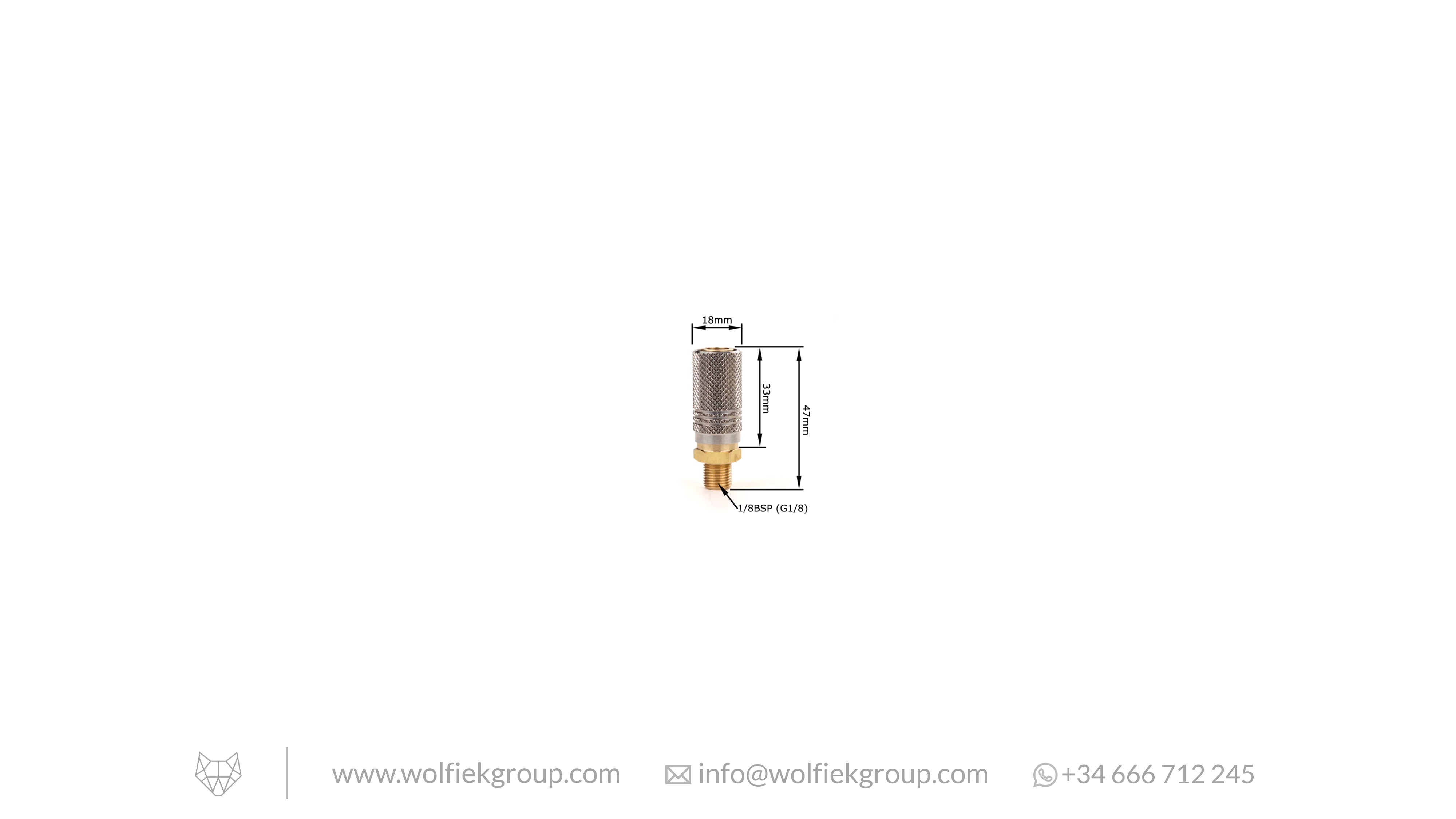 1/8 BSP Male to Foster Female